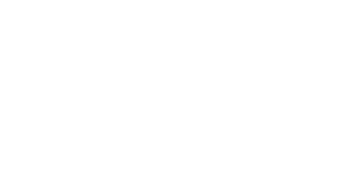 Tapetes São Carlos