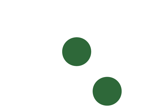 Tapetes São Carlos